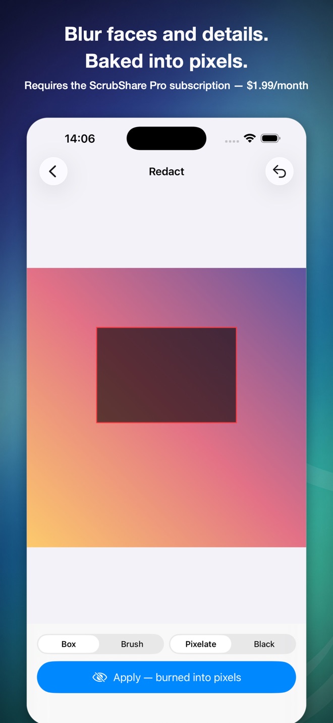 Redaction editor with a region marked to be hidden
